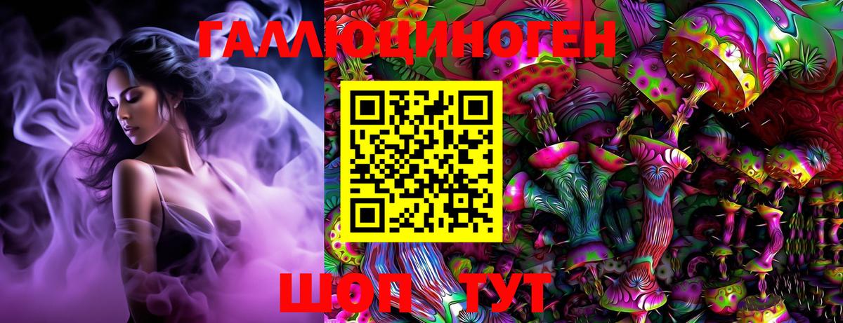 Галлюциногенные грибы Psilocybe Королёв