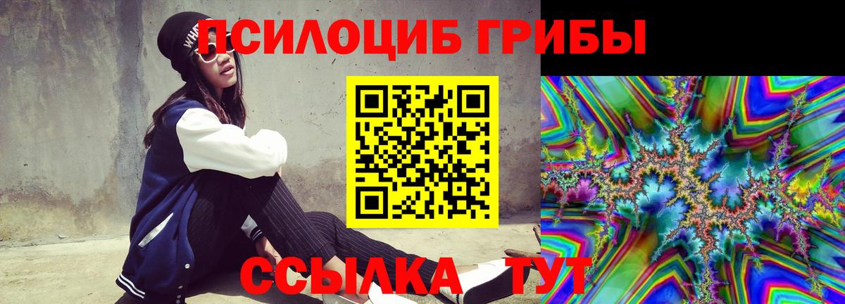 Королёв  Псилоцибиновые грибы Psilocybine cubensis  Вход с VPN 